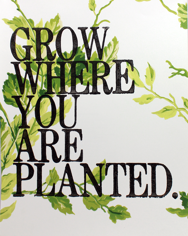 Amy Rice Grow Where You Are Planted