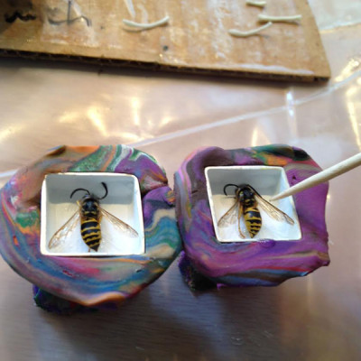 Bees in progress